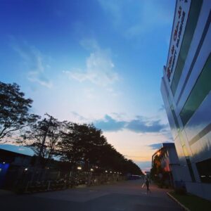 Sony MDREX15LP Earphones