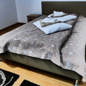 AudioSonic SK1524 Bluetooth Speaker